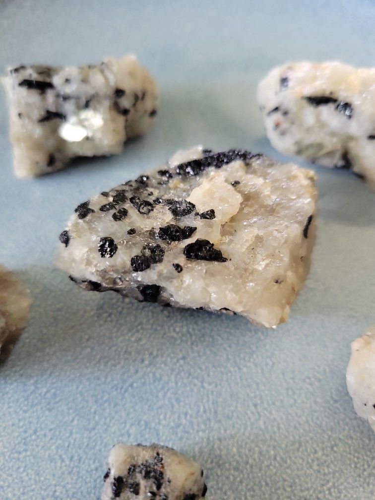 Black termaline in Quartst's crystal