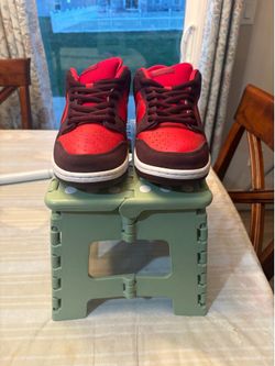 Nike SB Dunk