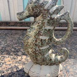 Sea Horse Waters Plants