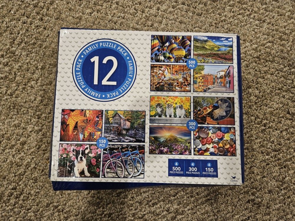 12 Assorted Puzzles