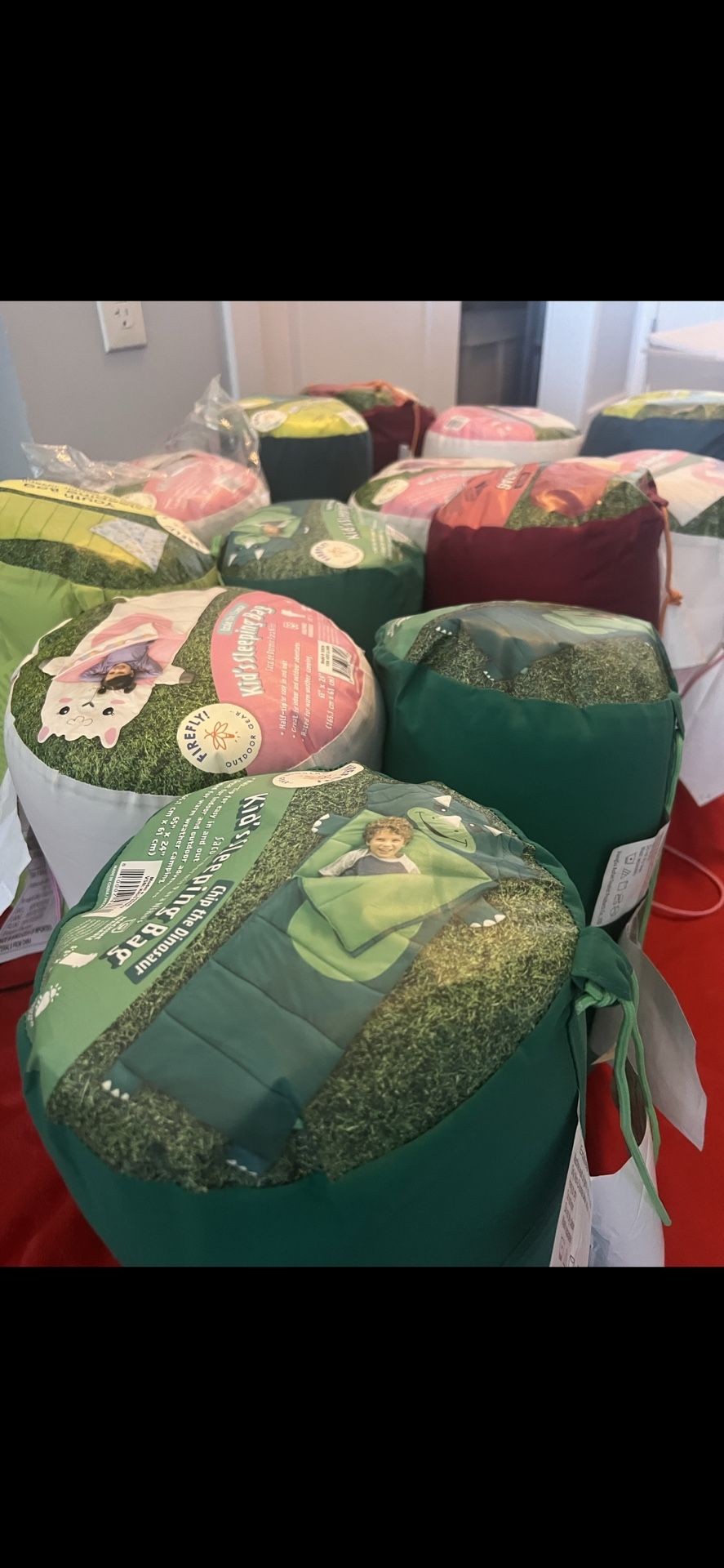 Sleeping Bags Youth For Sale