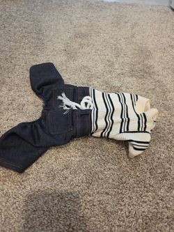Dog Outfit, Small, Like New