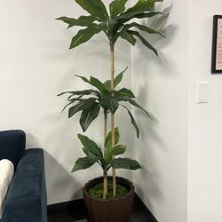 Modern Fake Plant Decor - 11 Available 