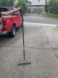 Thatching rake