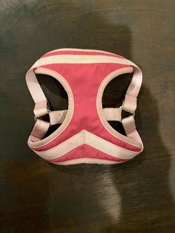 Dog Harness