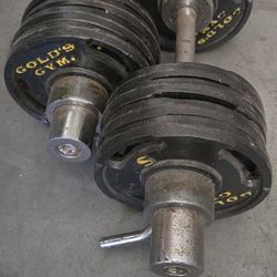 Olympic Style Dumbbells 200 Bucks