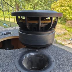 Fi Audio Custom 10" Big Subwoofer 