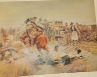 Cowboy Print Collection