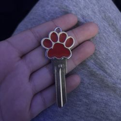 Bulldog Paw Key Not Engraved 