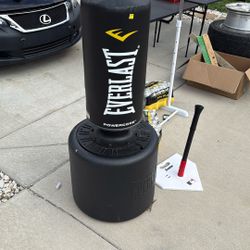 Everlast Punching Bag