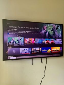 Insignia 55” mast tv