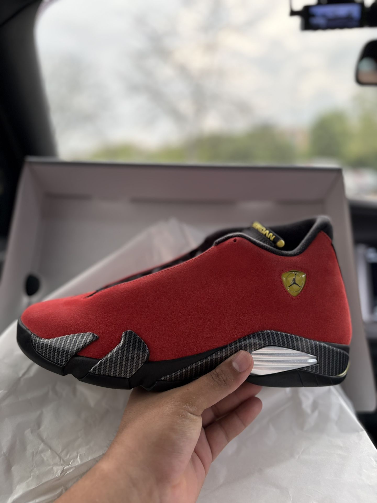 Jordan 14 Need gone asap!!!!