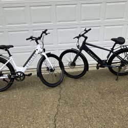 Pair Class 1 E Bikes