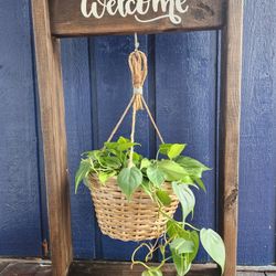 Self  Standing Welcome Plant /hanging Flower