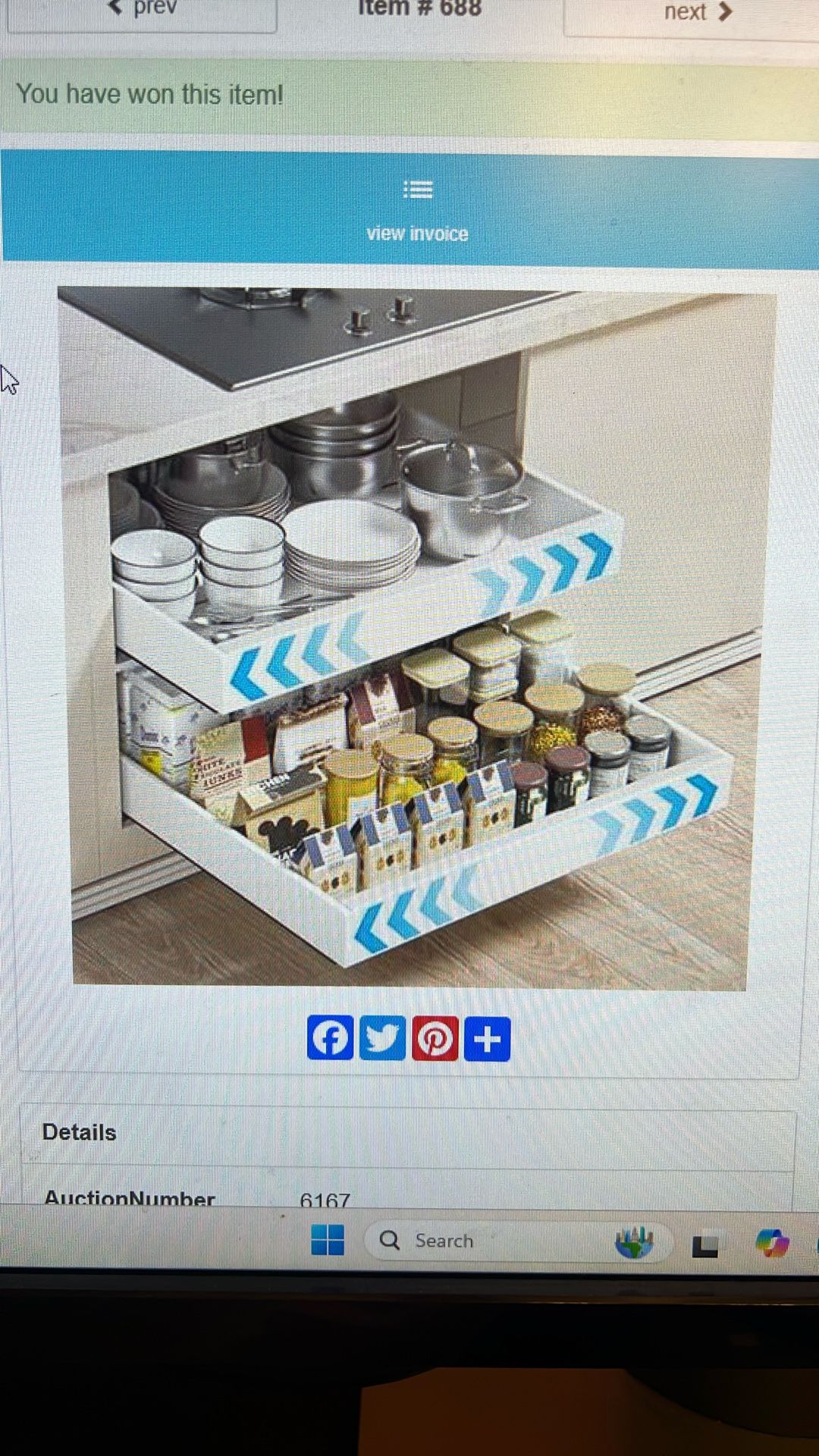 Pull Out Cabinet Organizer