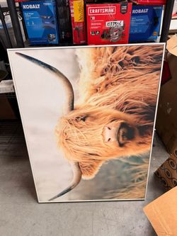 Wall art frames