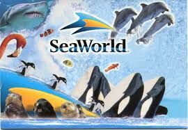 Sea world tickets for sale