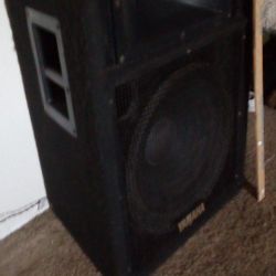 Stage Speaker
