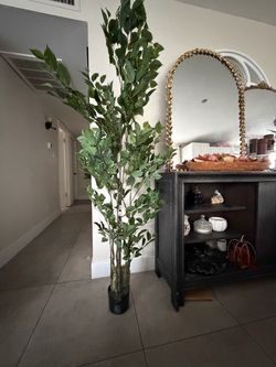 Large Artificial Ficus Tree in Black Pot