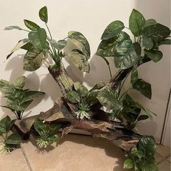 Top Fin® Massive Leafy Driftwood Aquarium Ornament, Two Available