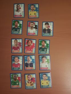 FIFA World Cup Panini Sticker
