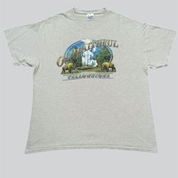 Yellowstone National Park Old faithful vintage grey graphic t shirt Size XL