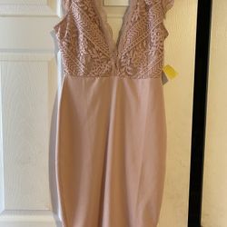 Medium blush Dress