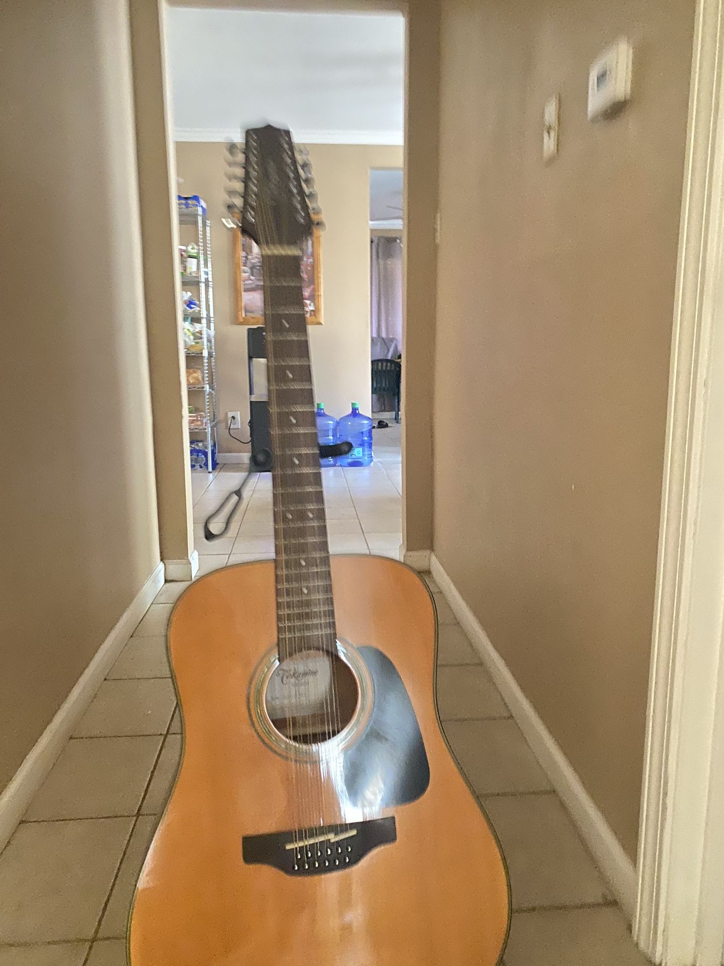 Takamine 12 Strings Guitar Series G