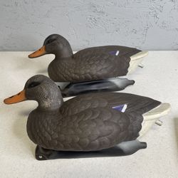 Vintage Duck Decoys