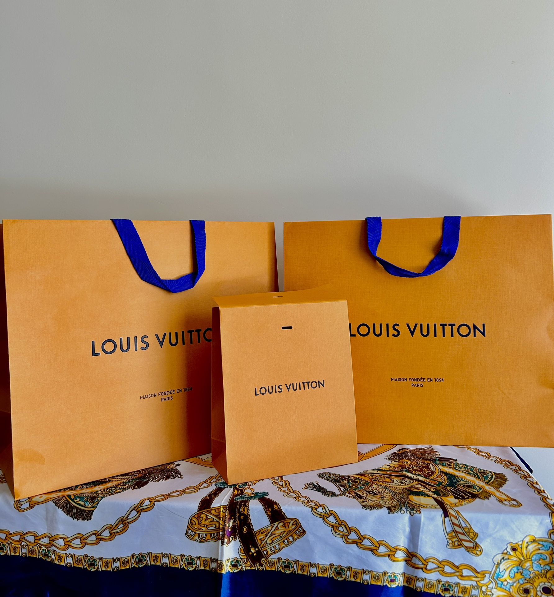 Louis Vuitton Shopping Bags