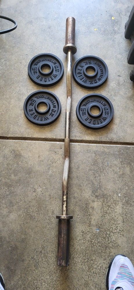 Gym #Gym Equipment #weights