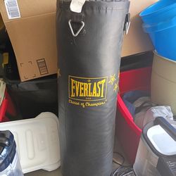 Everlast Punching Bag With Stand