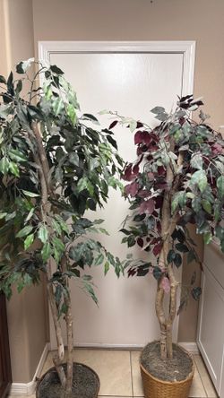 Decorative Trees