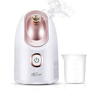 Mini Aroma Facial Steamer