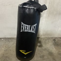 Everlast 40 Lbs Punching bag