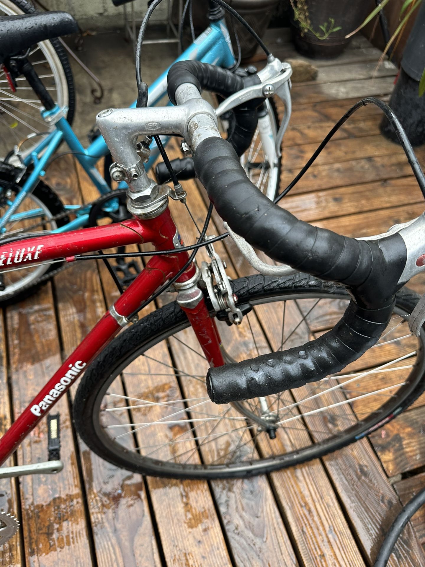 Panasonic Sport deluxe Bike