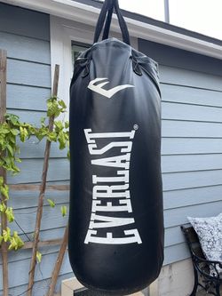 Everlast Punching Bag and Boxing Gloves