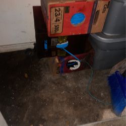Cat 6 