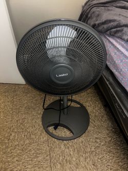 A great fan