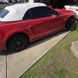 2004 Ford Mustang Drop Top