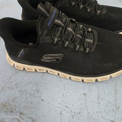 Sketchers New
