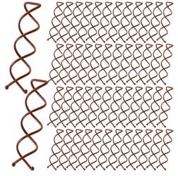 50Pc Spiral Hair Pins