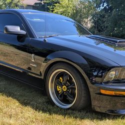 2007 Shelby GT Mustang
