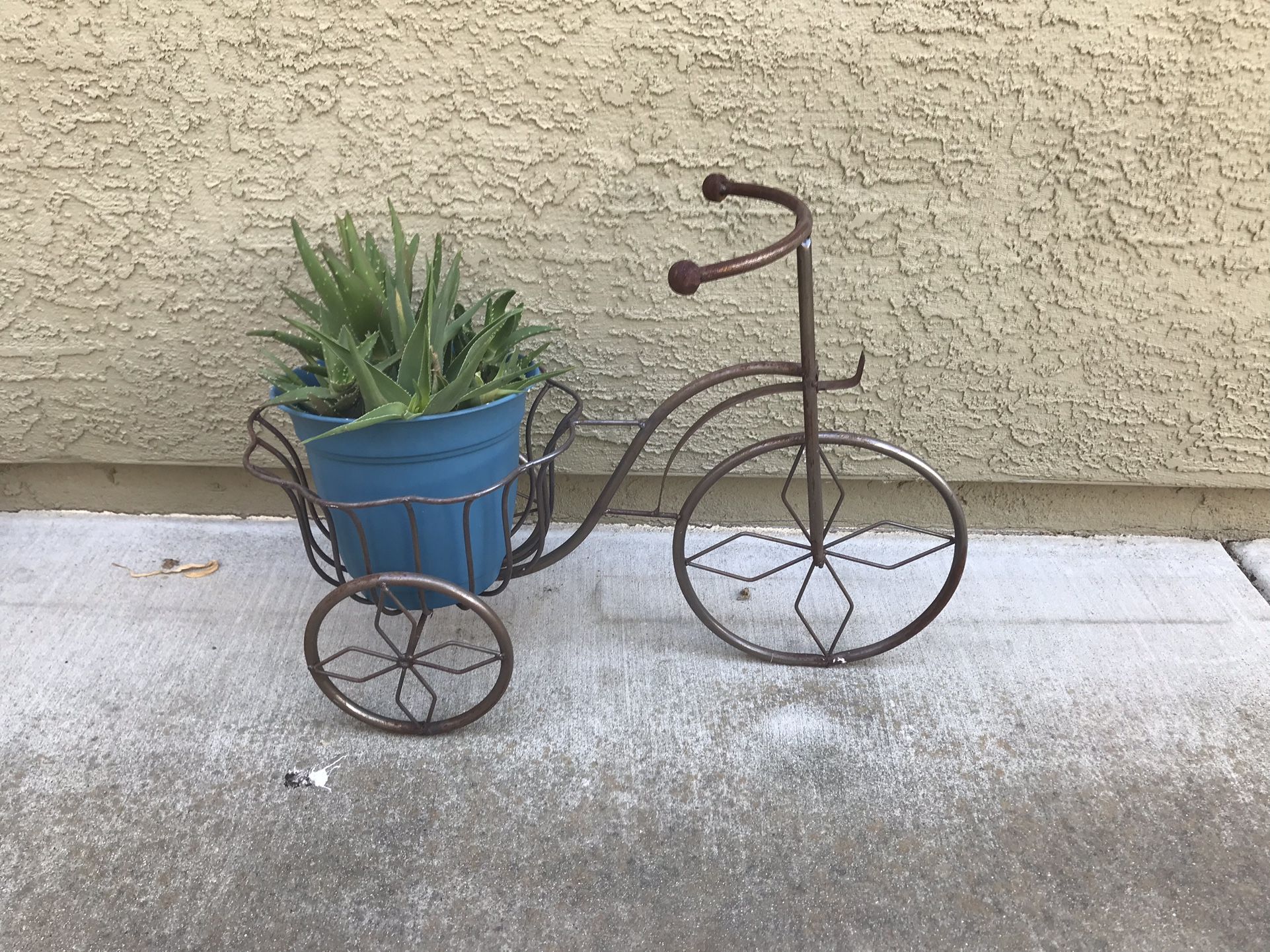 A charming rustic metal bike with a pot of aloe succulents