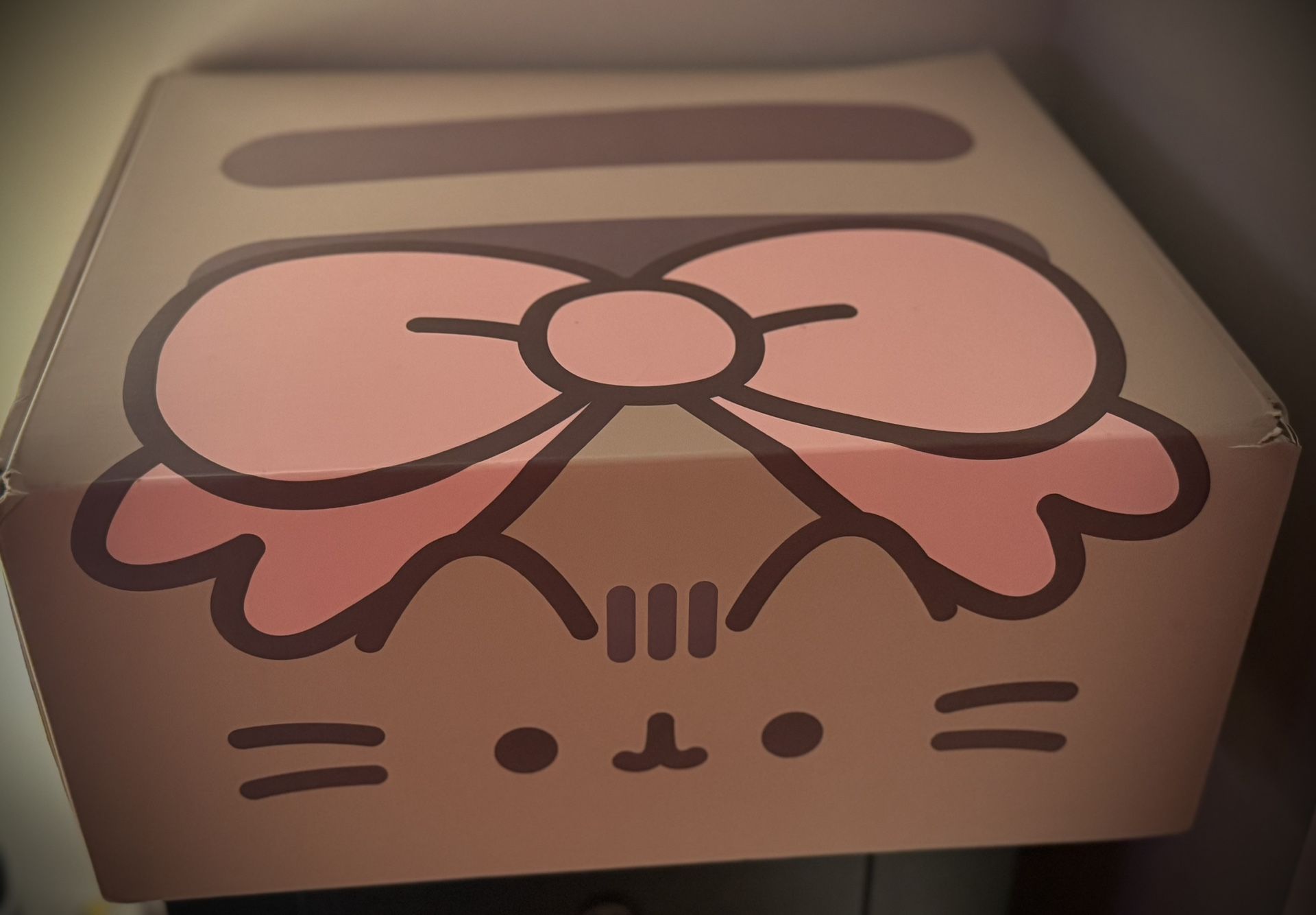 Pusheen Box Lot