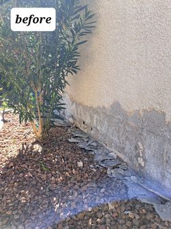 Exterior Painting