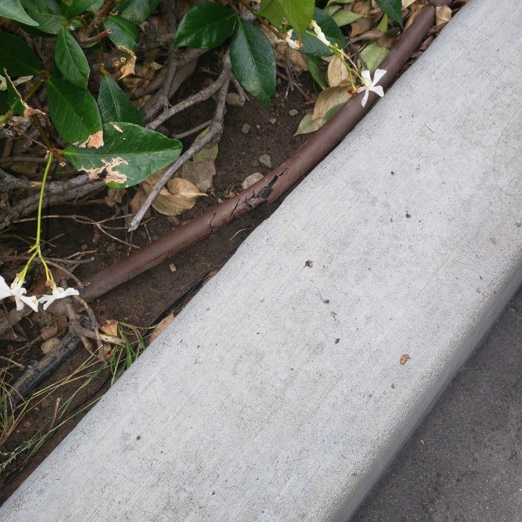 Drip Irrigation And Sprinklers