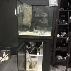 saltwater fish tank