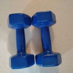 12 Lb Dumbbell Set 
