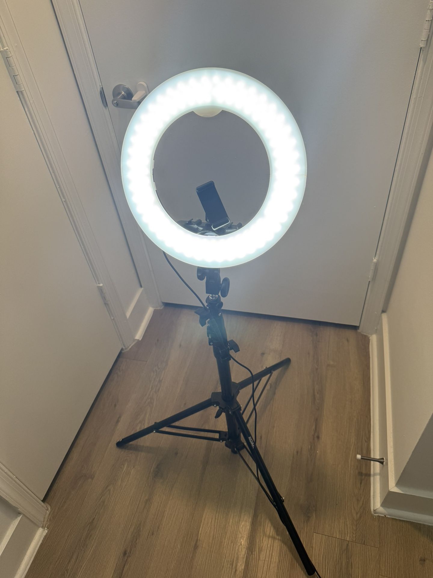 Ring Light